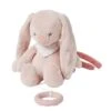 NATTOU Mini Musical Lapin Pomme Alice Et Pomme -Nattou 550Wx550H 5414673485050 1