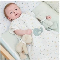 NATTOU Peluche Ours Jules Roméo Et Jules -Nattou 550Wx550H 5414673950008 3