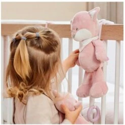 NATTOU Musical Lapin Pomme Alice Et Pomme -Nattou 550Wx550H jollymexmusicallapinpomme 1