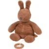 Nattou Peluche Musical Susie & Bonnie Lapin Rouille -Nattou 6648855 0