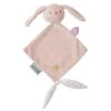 NATTOU Mini Doudou Plat Pomme Le Lapin -Nattou jo083485081