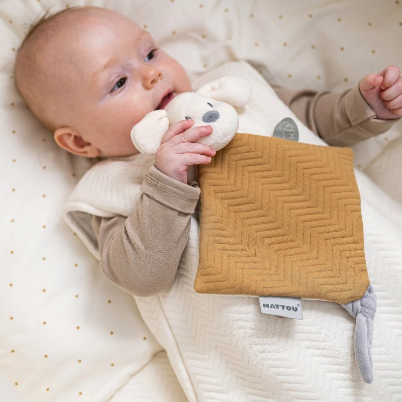 Mini Doudou Chien Caramel NATTOU Charlie 4 Mini Doudou Chien Caramel NATTOU Charlie – Image 2