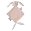 Mini-doudou Pomme Le Lapin NATTOU Alice & Pomme 2 Mini-doudou Pomme Le Lapin NATTOU Alice & Pomme -Nattou mini doudou pomme le lapin nattou alice pomme