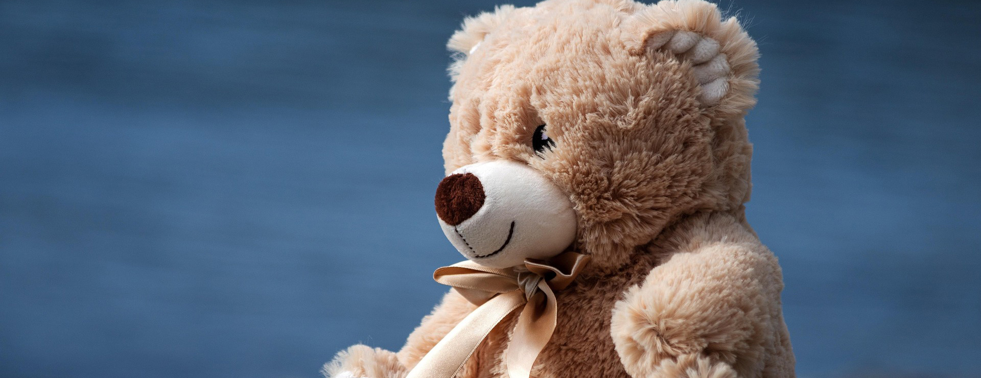 Nattou -Nattou teddy bear 6932239 1920